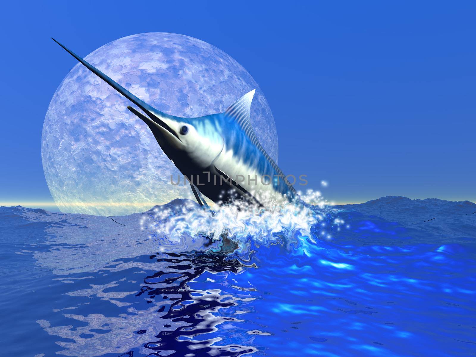 BILLFISH by Catmando