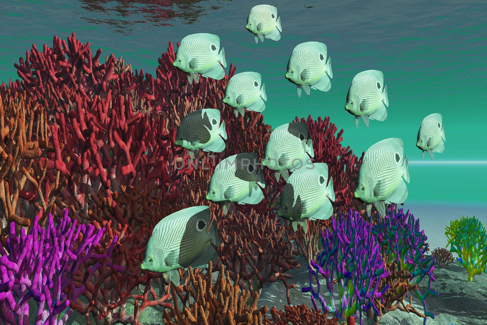 CORAL REEF by Catmando