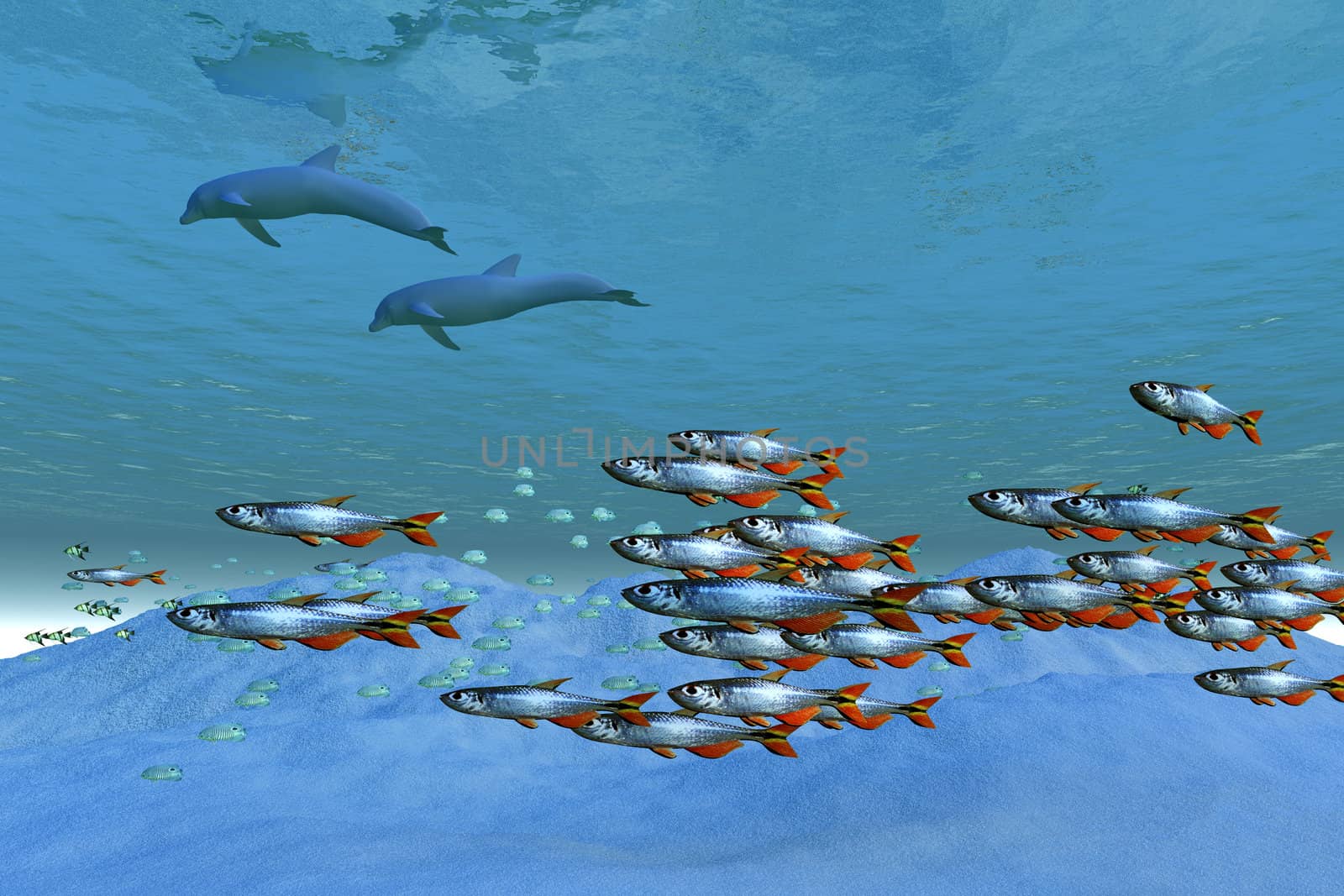 Schools of fish swim in the blue ocean.