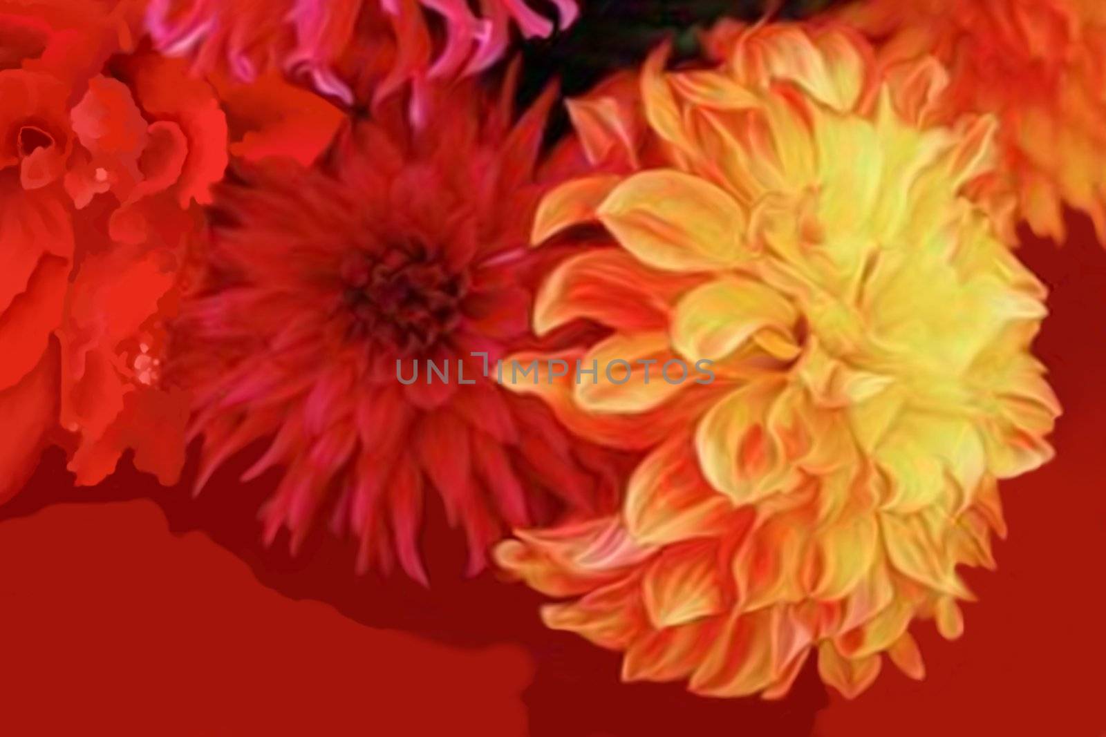 Abstract bouquet of dahlia flowers.