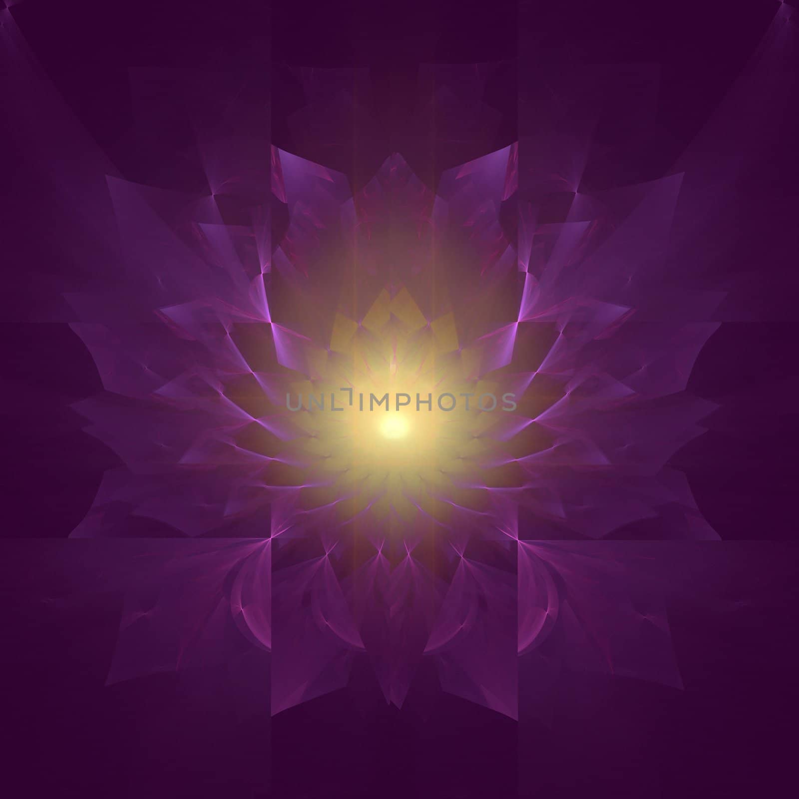 Abstract fractal design representing the mum flower with emphasis on the color purple.