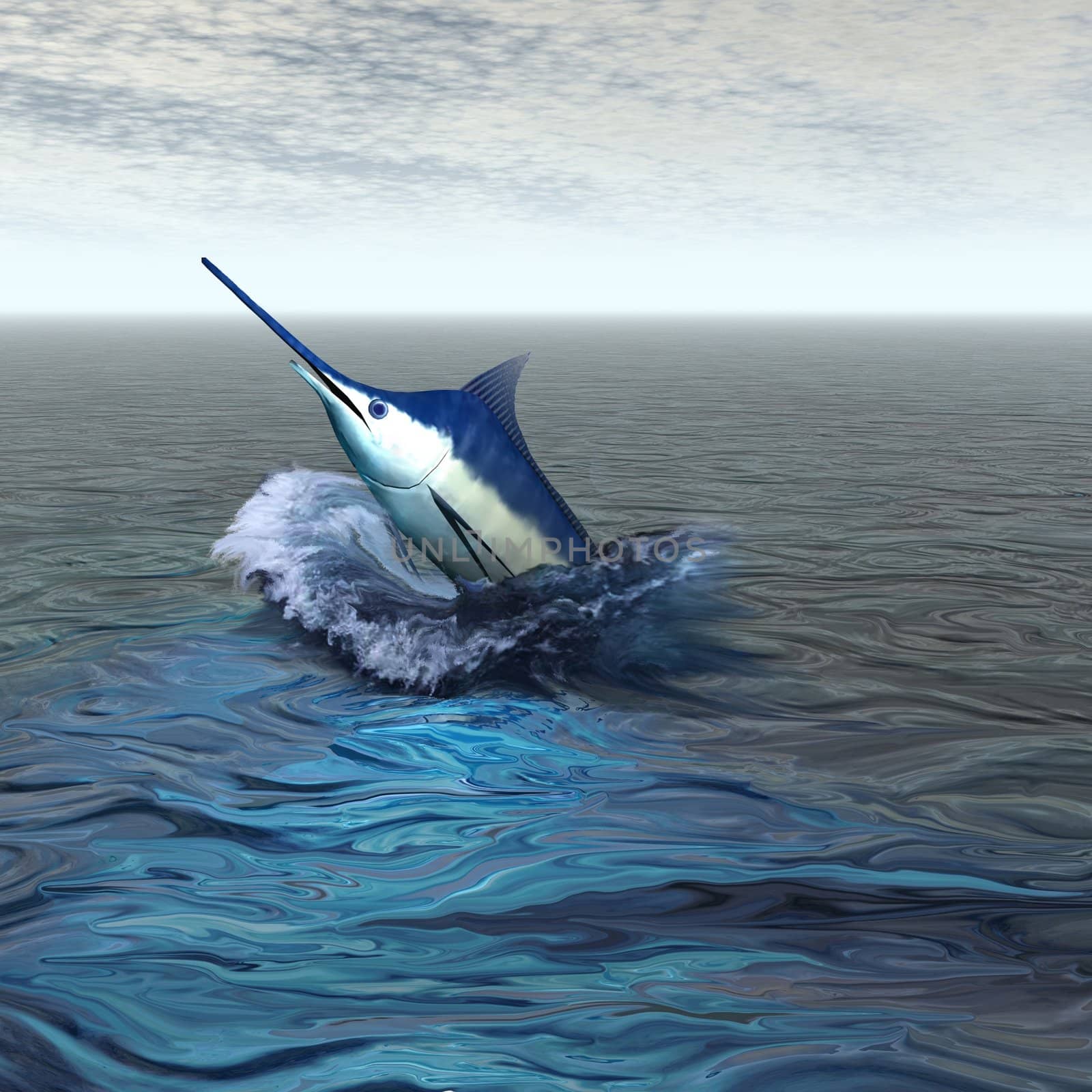 A beautiful marlin breaches from the ocean.