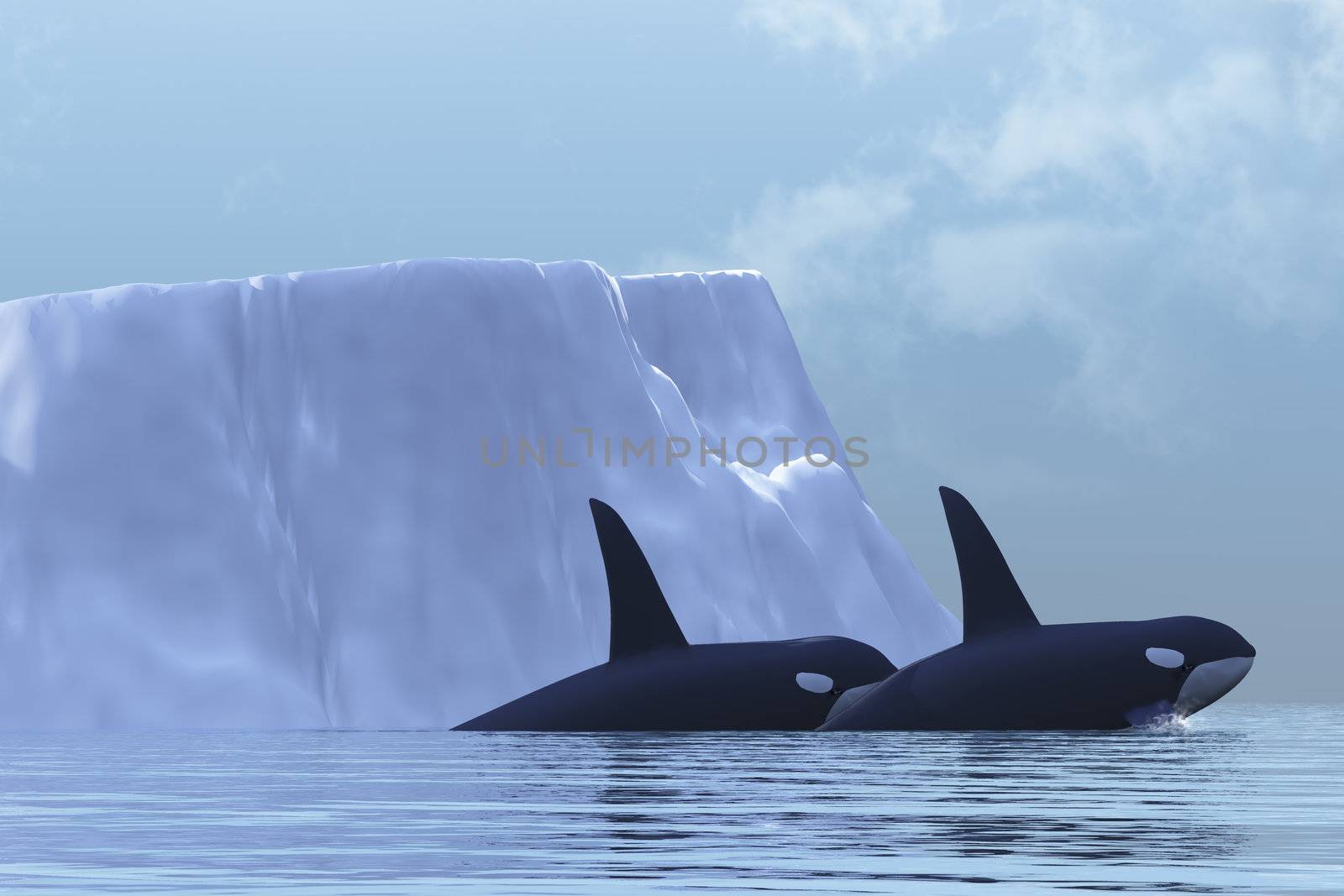 ORCA by Catmando