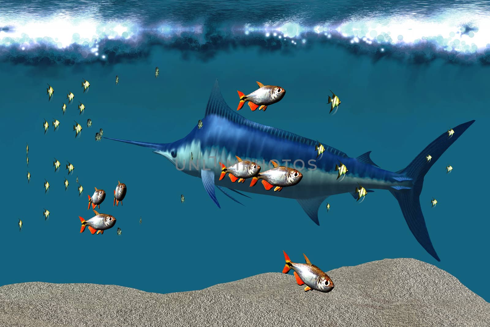 Small fish accompany a blue marlin in an ocean world habitat.