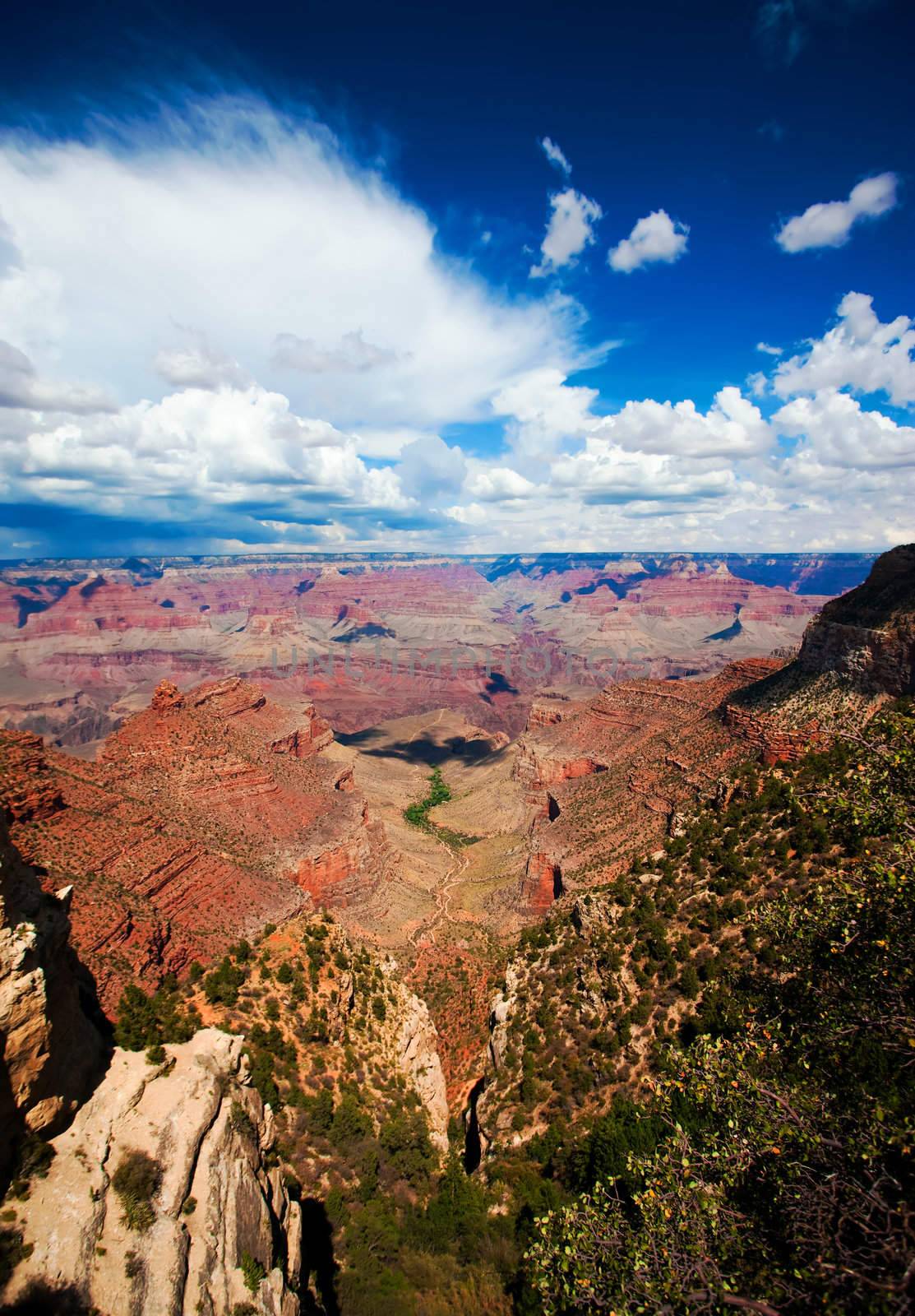 View of Grand canyon featuring Bright Angel Trail below