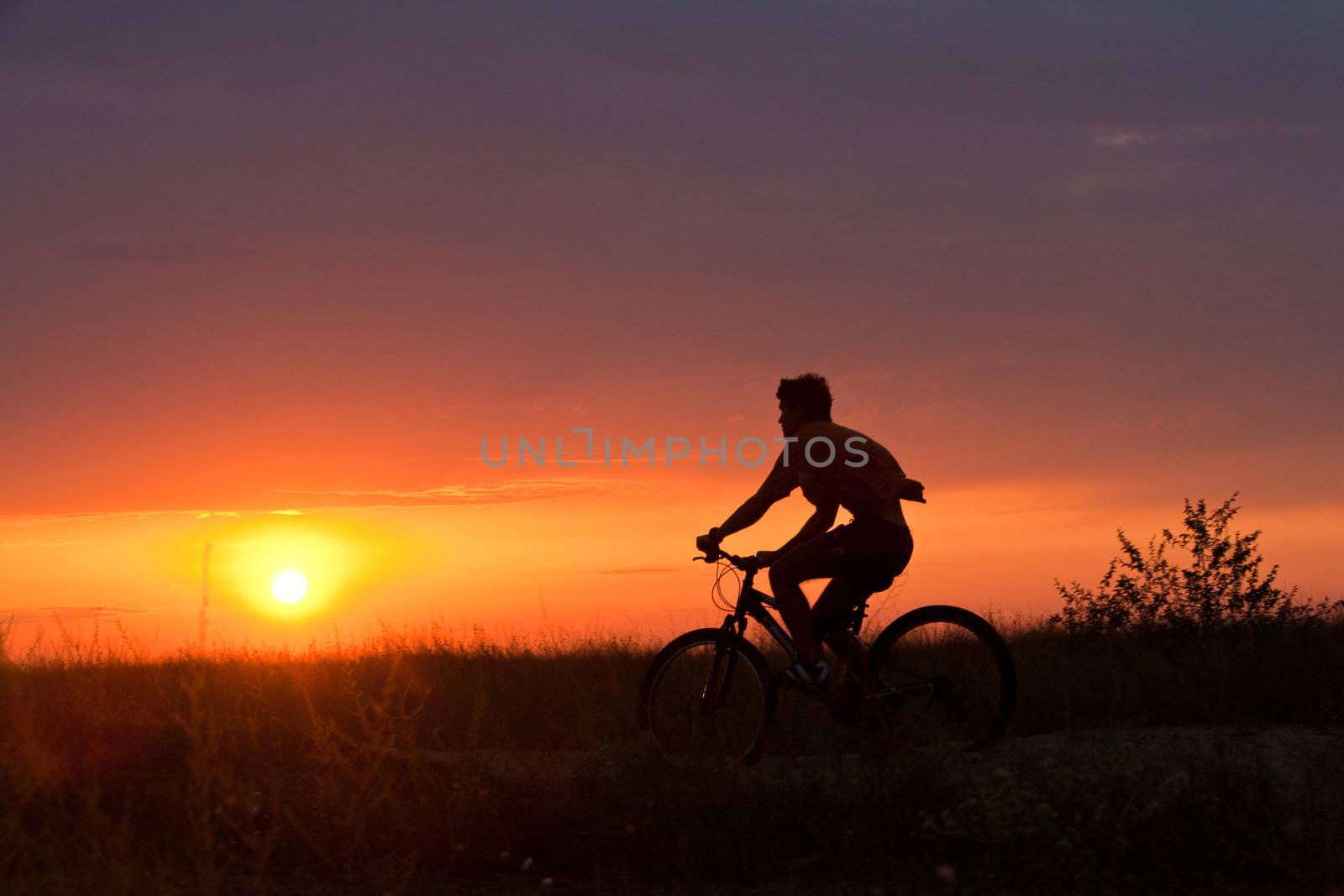 summer cyclist by agg