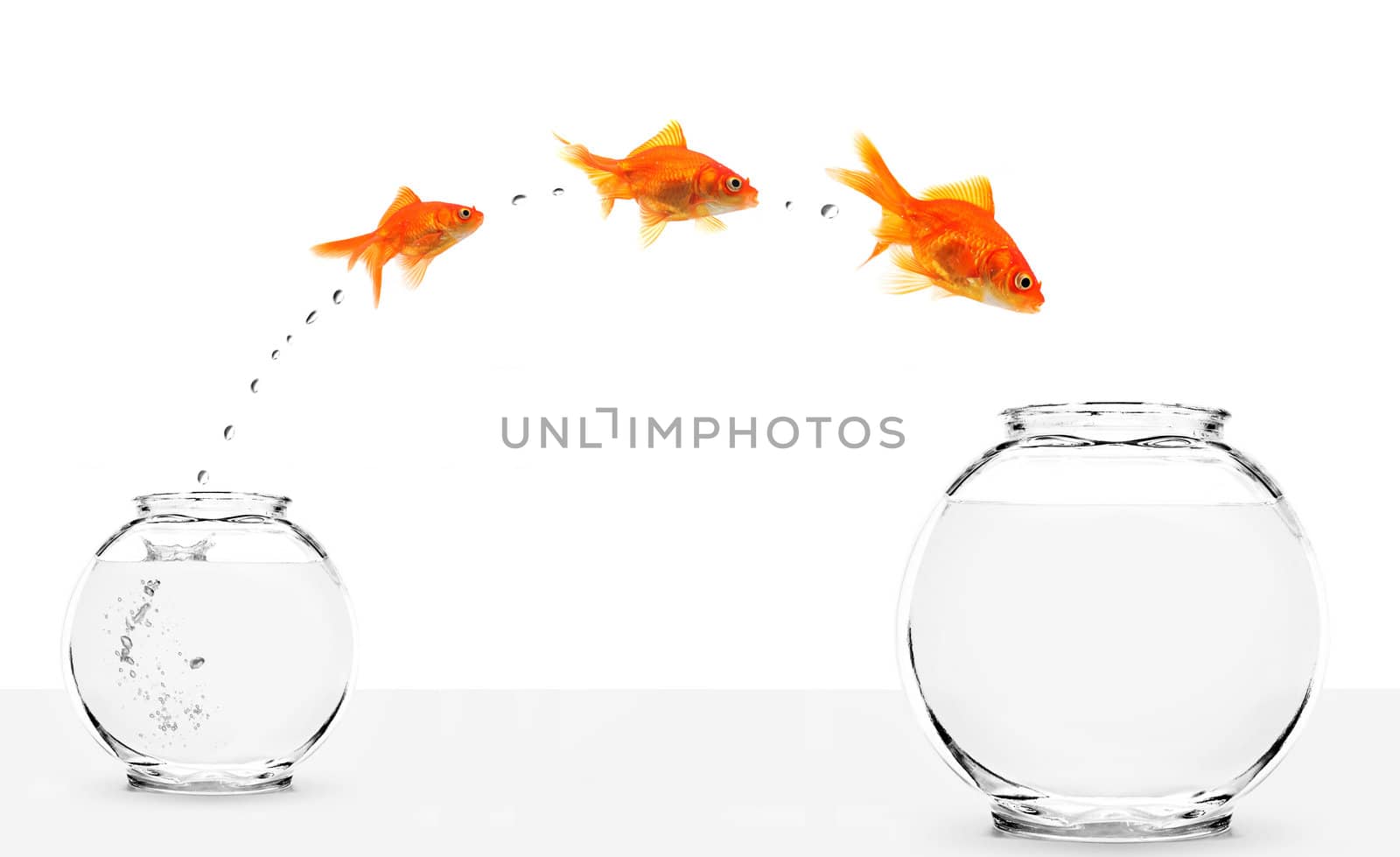 three goldfishes jumping from small to bigger bowl isolated on white background