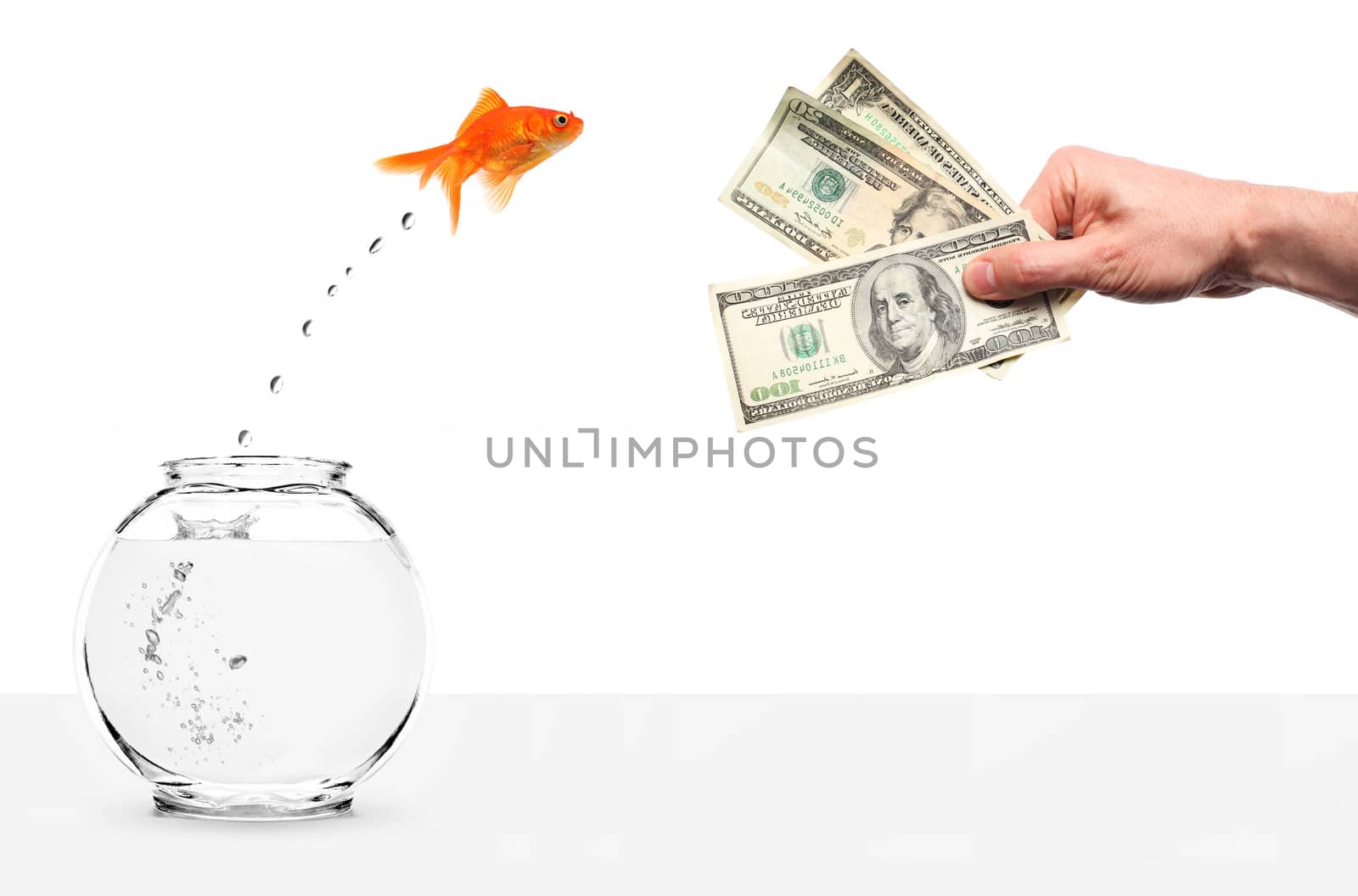 goldfish jumping out of fishbowl lured by money isolated on white