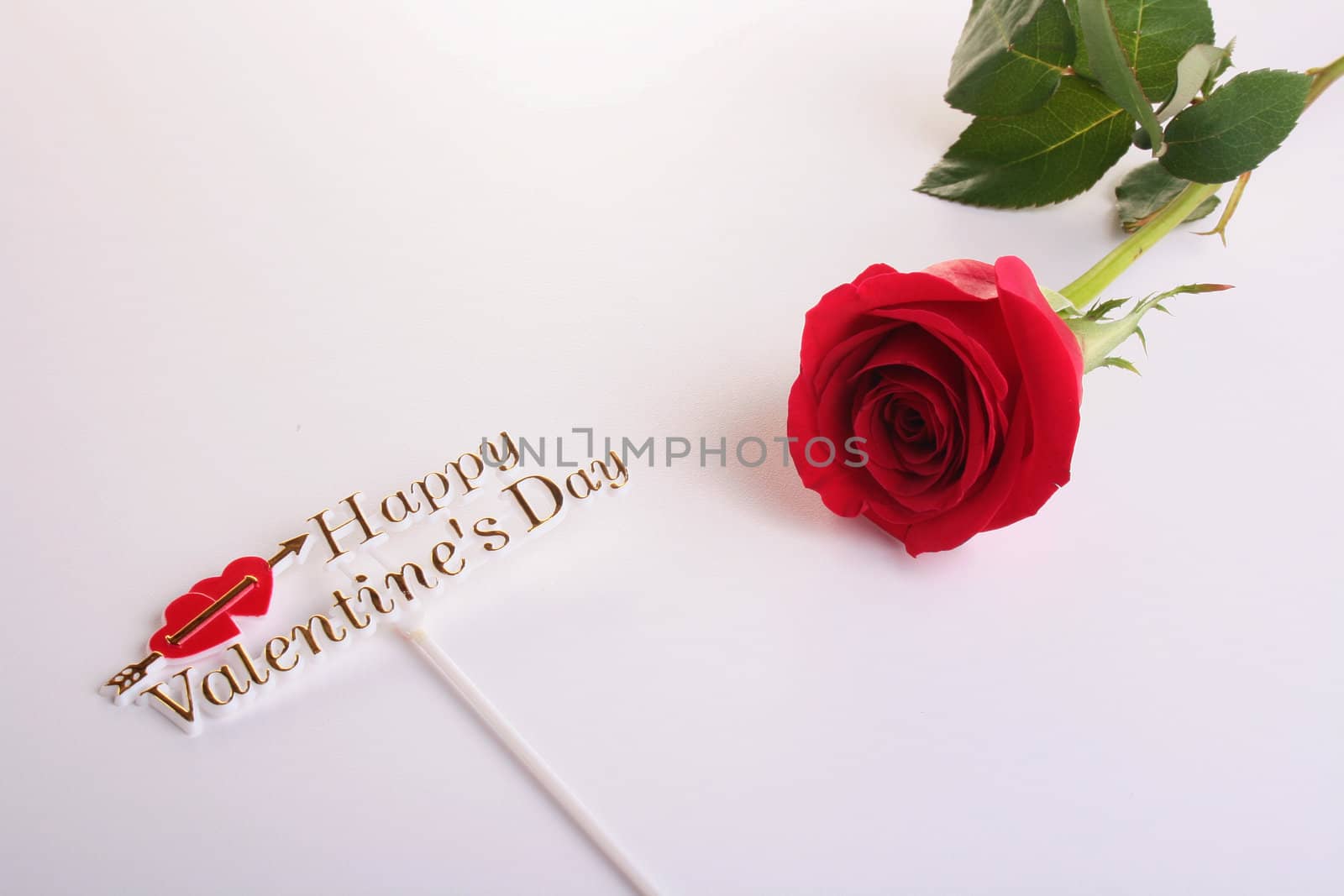 Red rose and inscription Happy Valentine's Day.