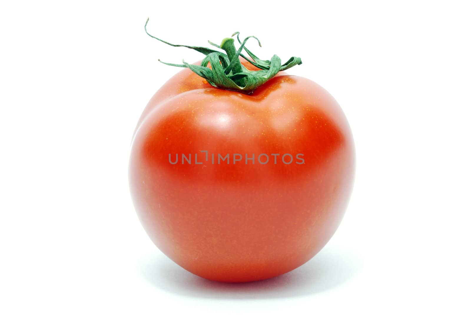 Isolated Red Tomato on White