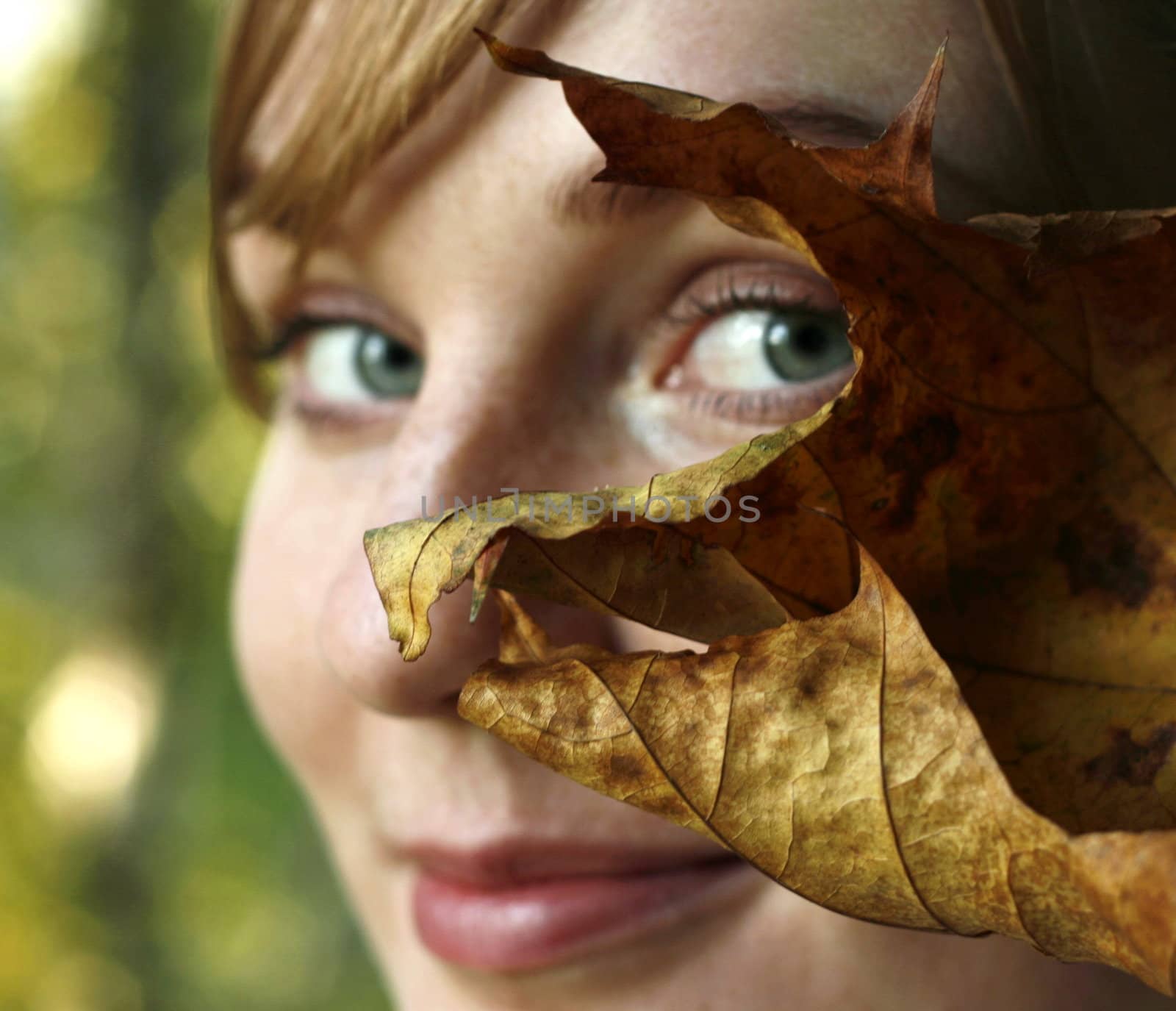 The close-up portrait of young woman with maple tree leaf