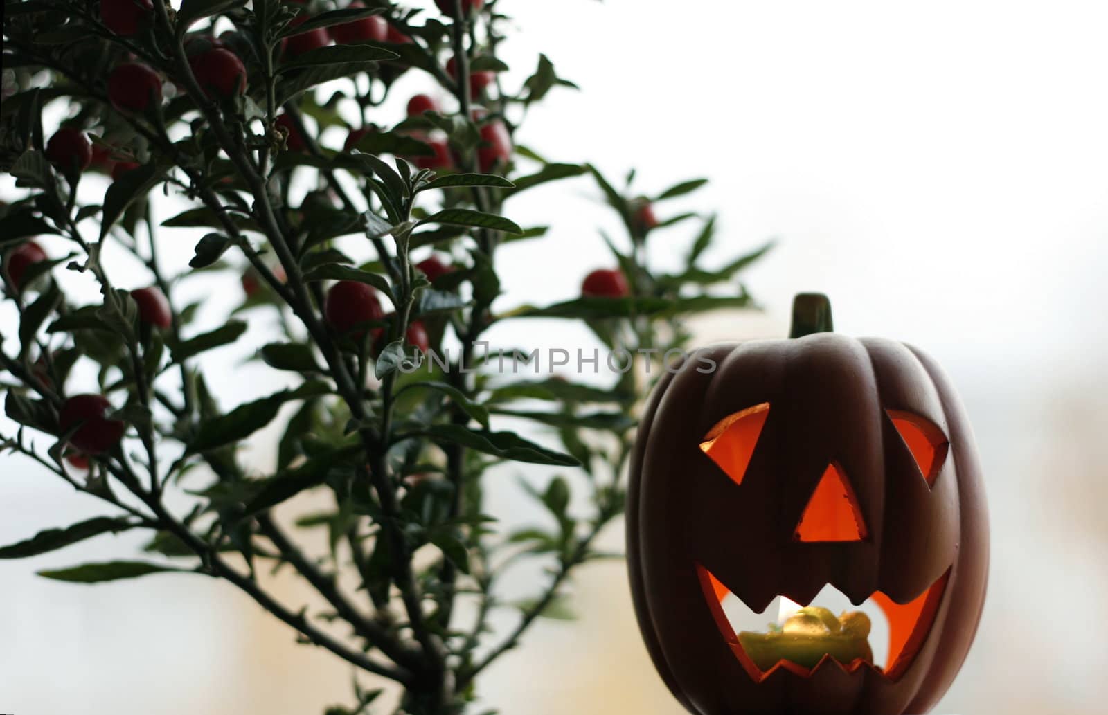 Halloweens pumpkin candle