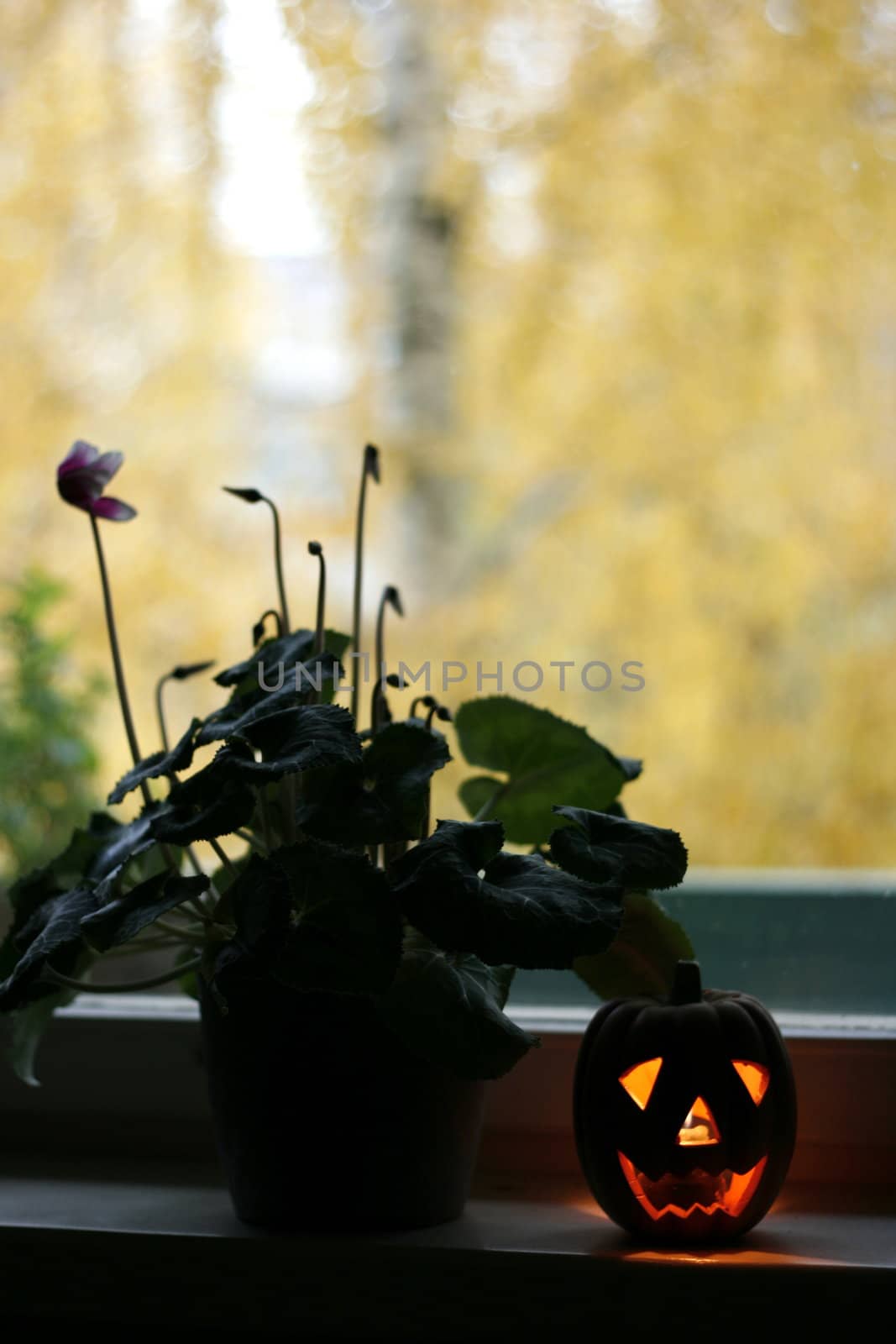 Halloweens pumpkin candle