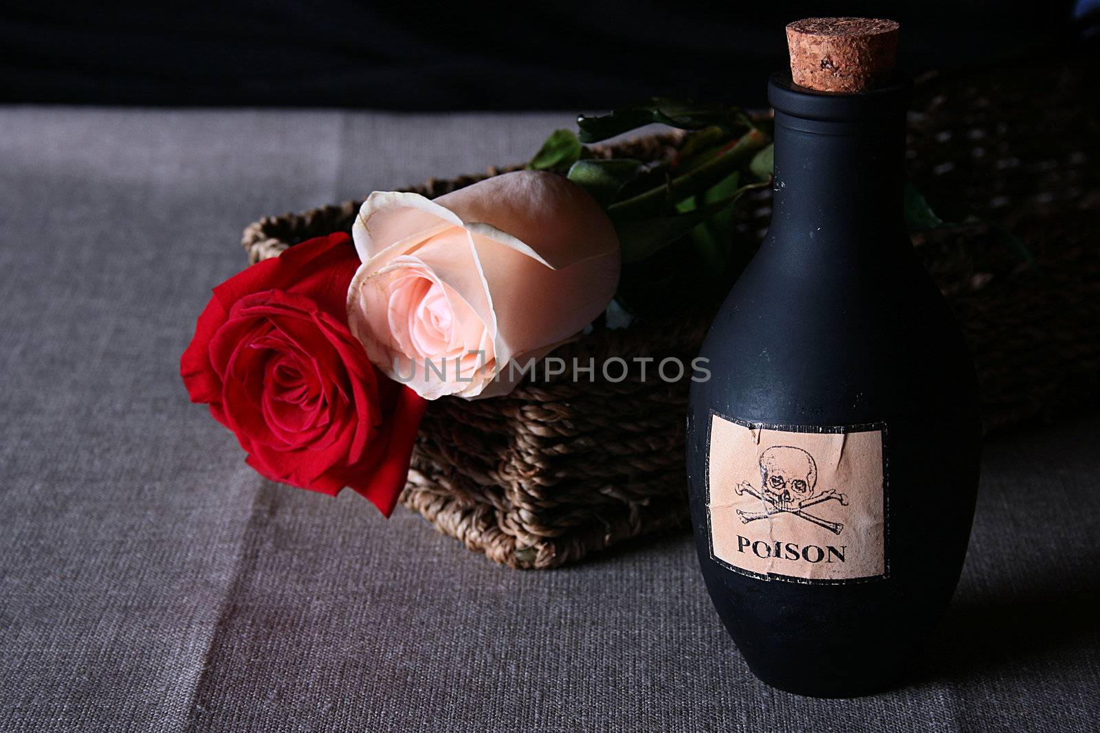 Bottle from black glass with poison against two roses.