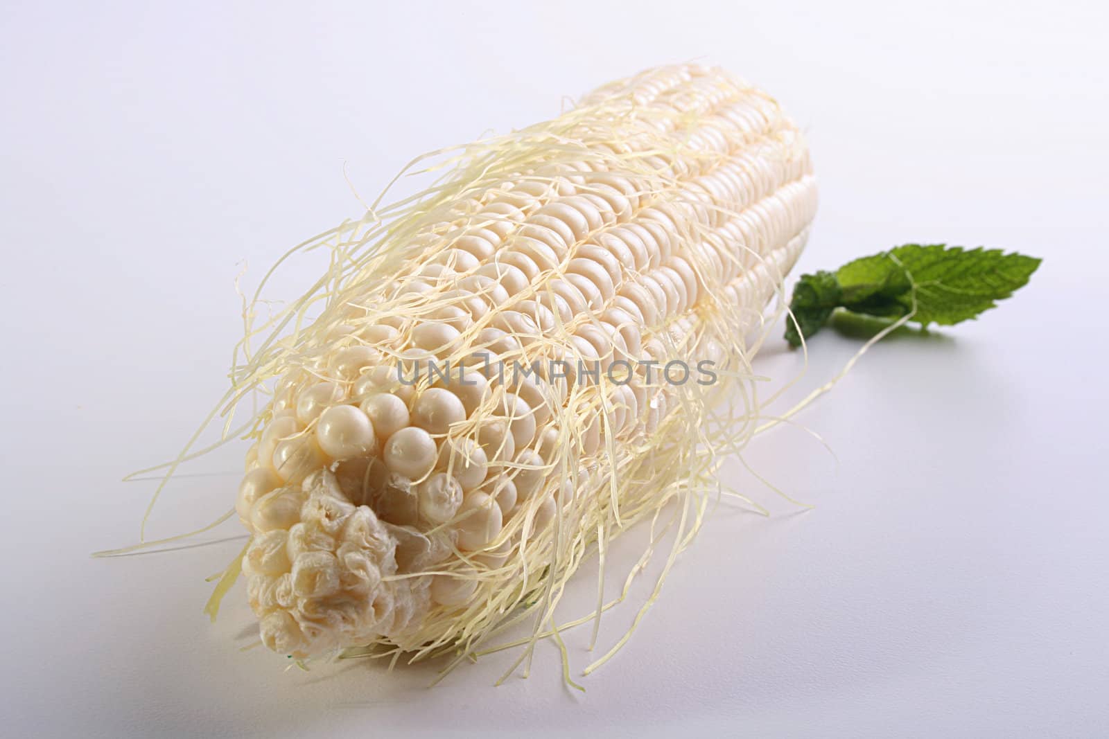 Ear of crude corn on a white rough kitchen table.