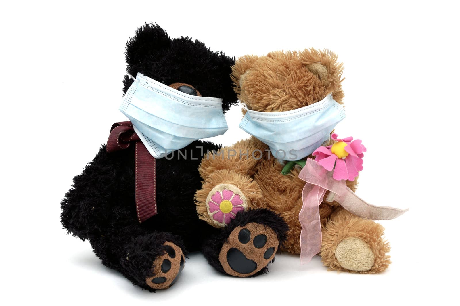 Teddy bear toys wearing surgical masks protect themselves of flu