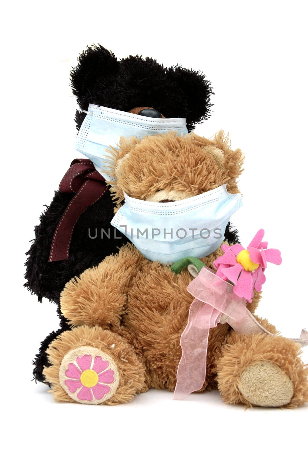 Teddy bear toys wearing surgical masks protect themselves of flu
