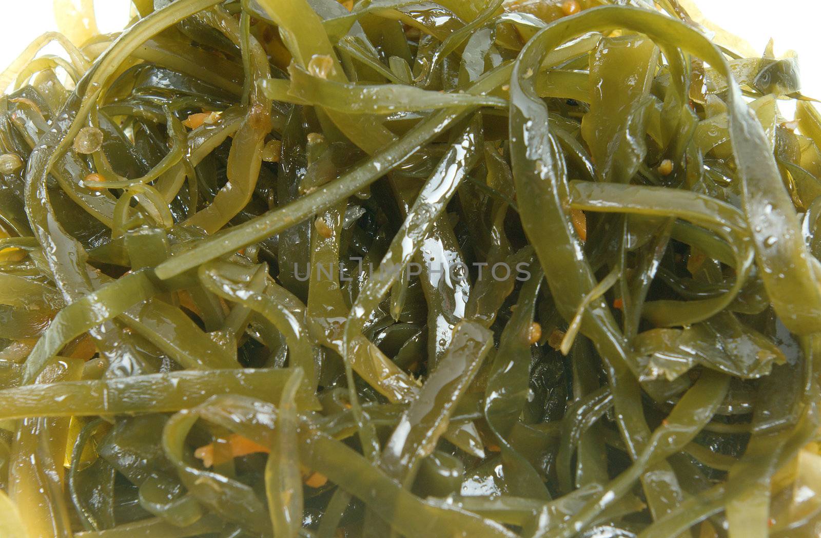 Laminaria isolated .sea-kelp cabbage