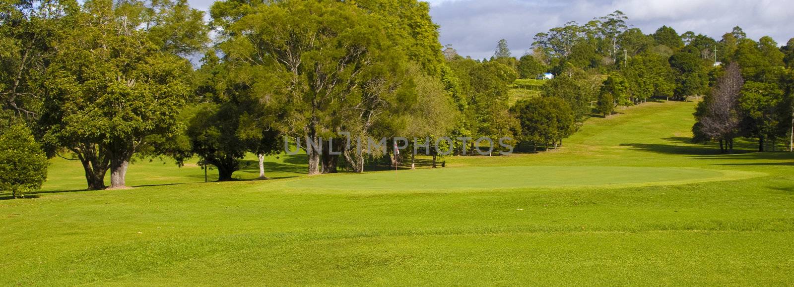 Golf coarse landscape