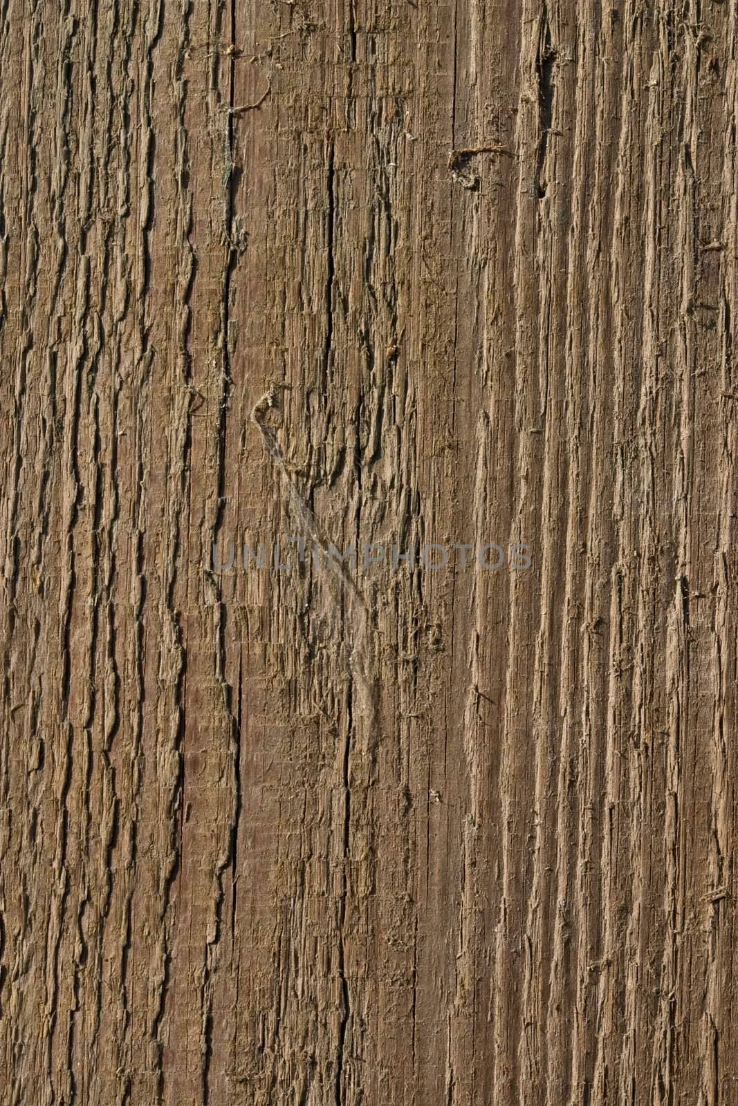 texture series: macro picture of old wooden board
