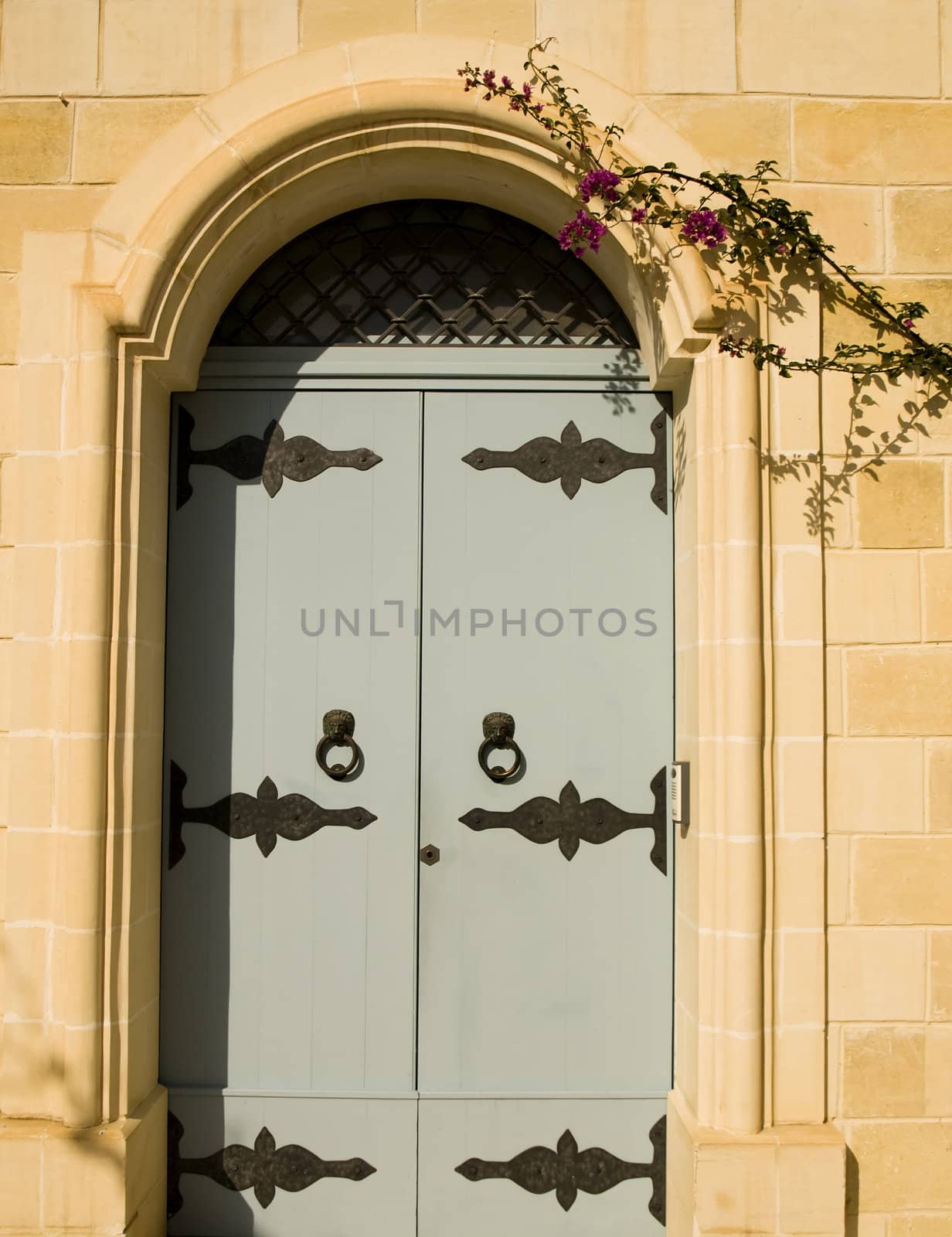 Mediterranean Baroque Door by PhotoWorks