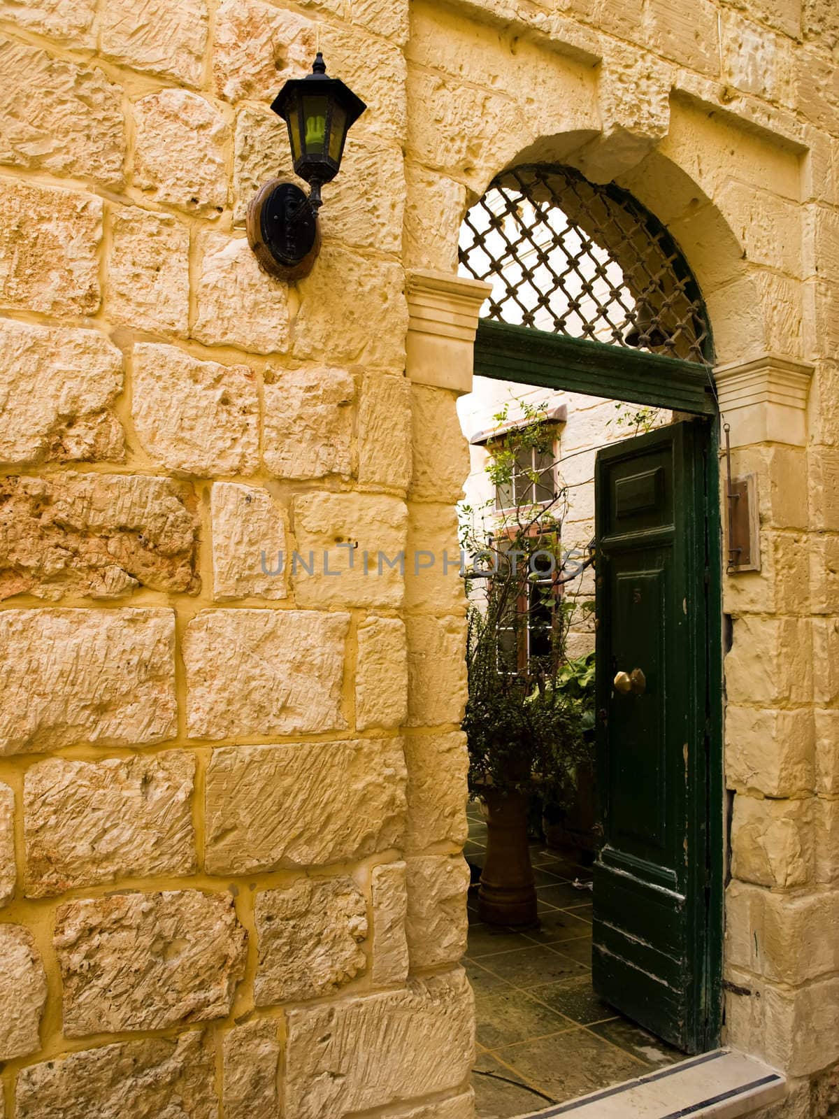 Mediterranean Baroque Door by PhotoWorks