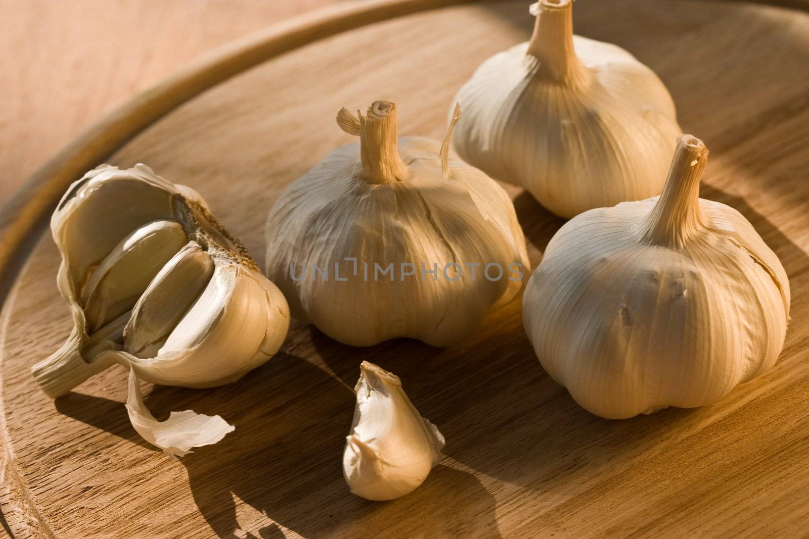 garlic by agg