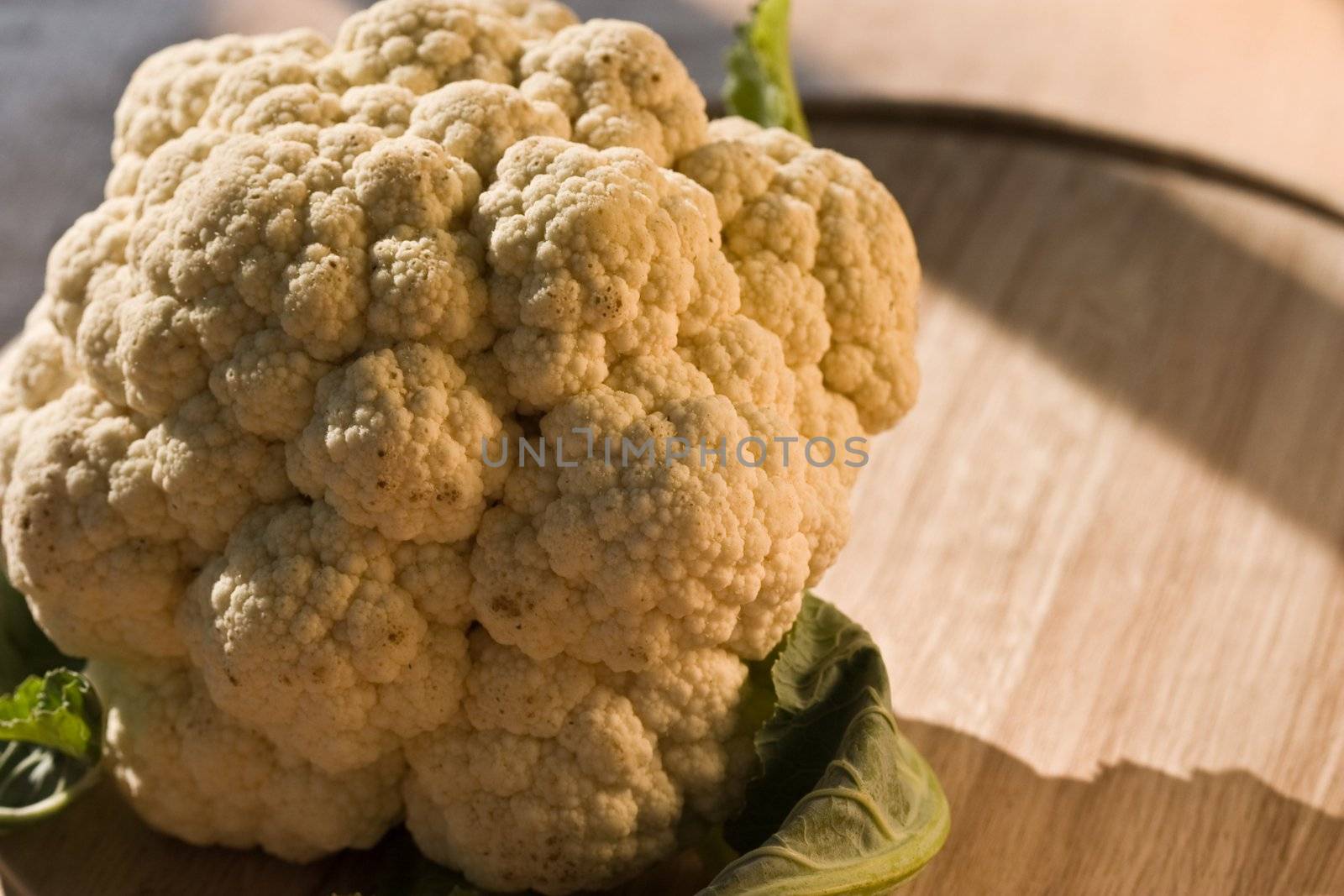 vegetable series: fresh and ripe cauliflower under sunlight
