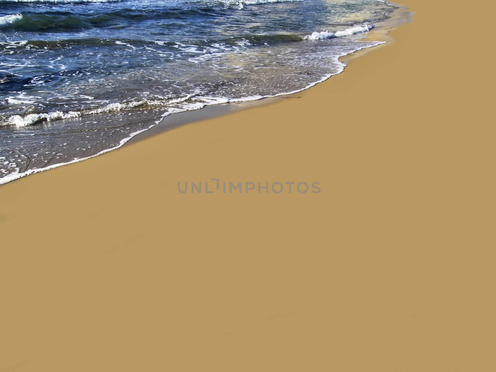 Beach Detail by PhotoWorks