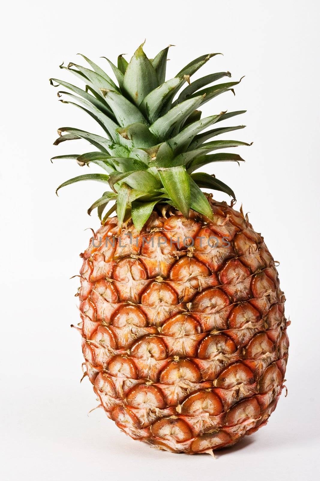 Pineapple fruit (Ananas comosus) on white background