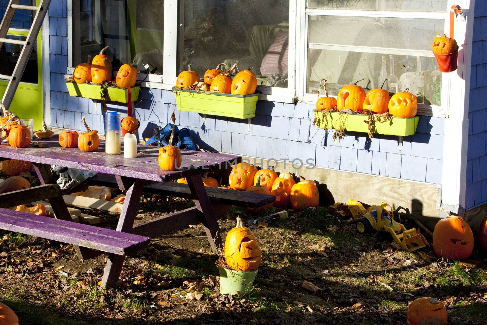 decorated house for Halloween, Maine, USA by phbcz