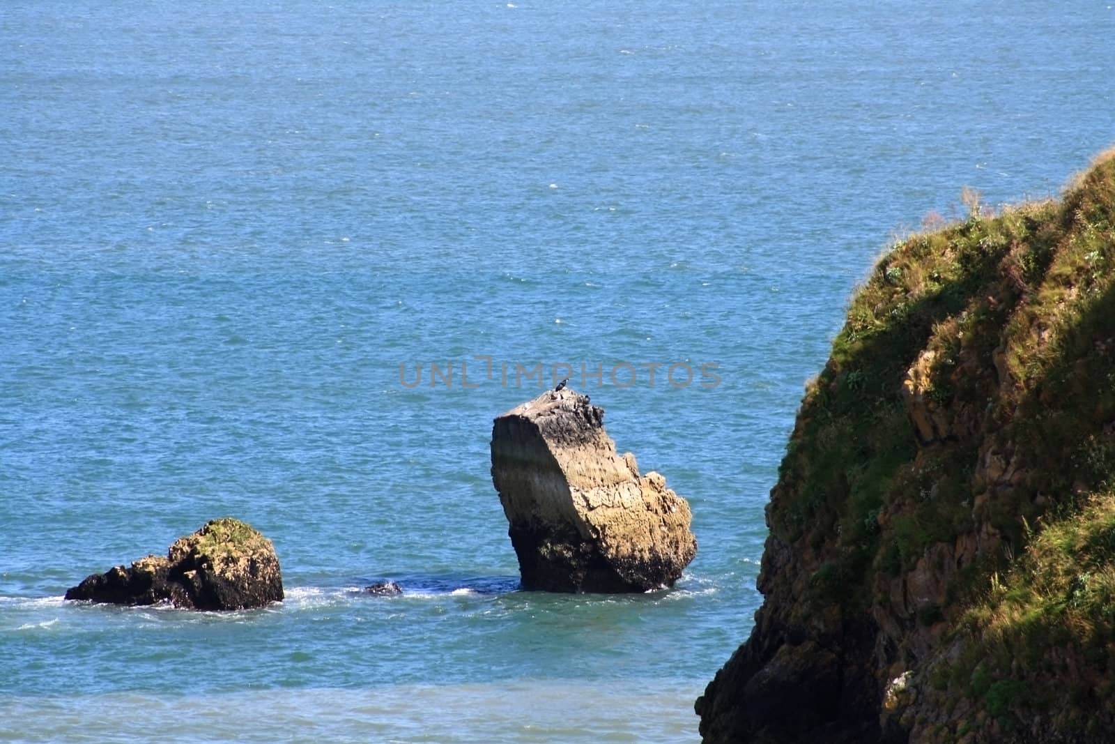 Sea rocks around Saint Catherine island in Tenby, Wales.