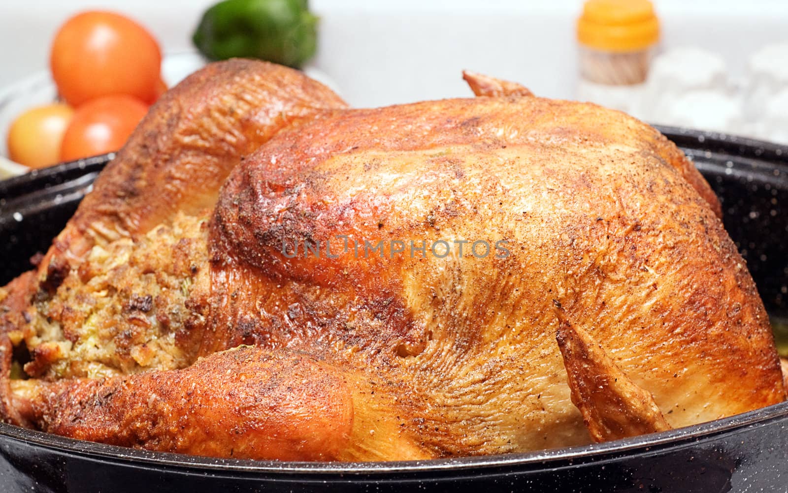 A large cooked turkey sitting in a roaster, on a kitchen counter