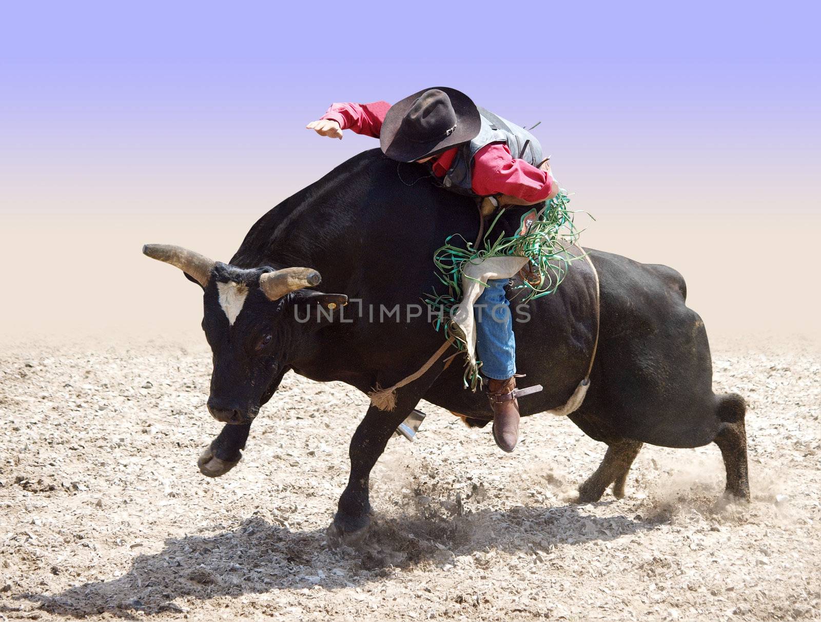 Cowboy Riding a Bull by MargoJH