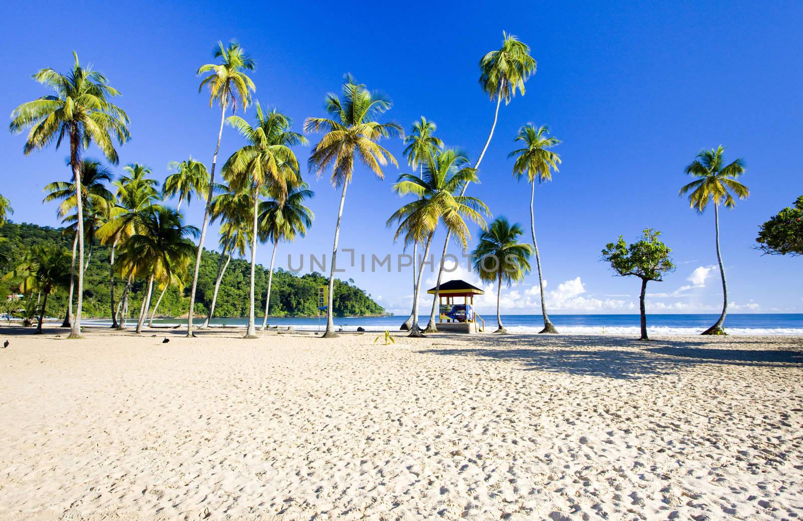 cabin on the beach, Maracas Bay, Trinidad by phbcz