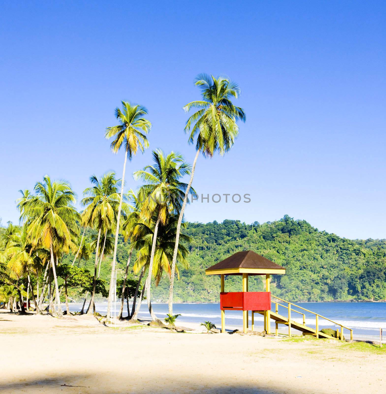 cabin on the beach, Maracas Bay, Trinidad by phbcz