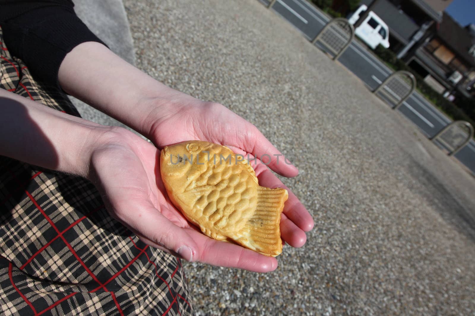 Japanese fish cake by Kanzawa