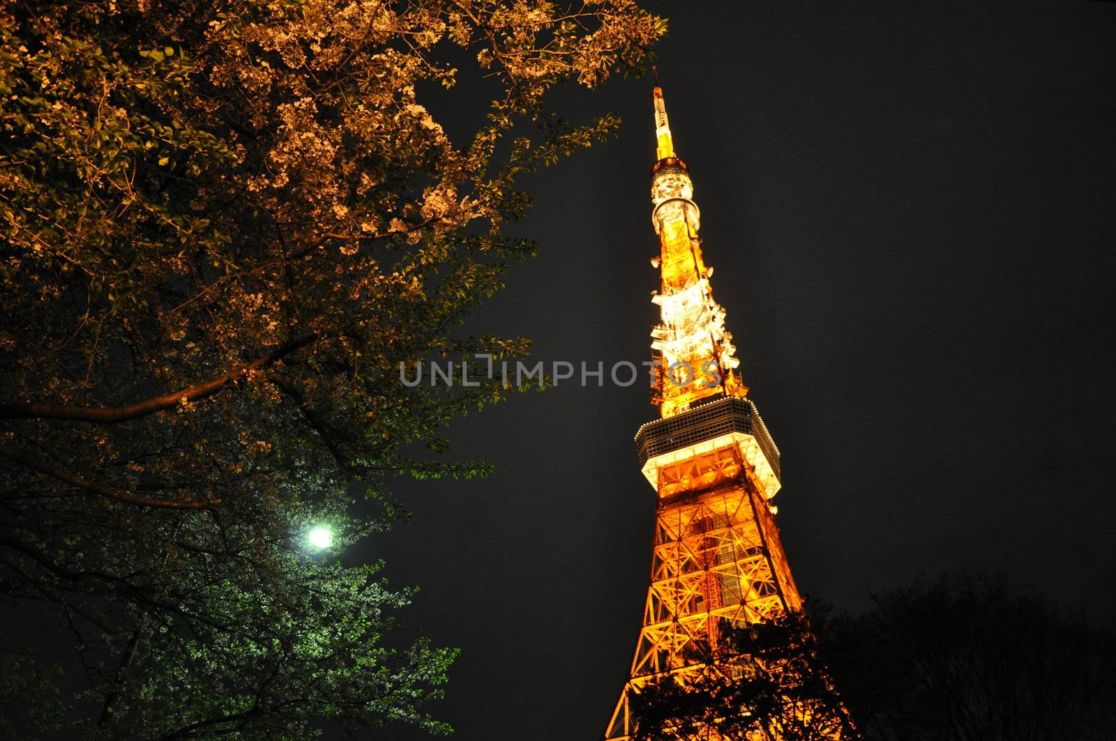 Tokyo Tower by Kanzawa