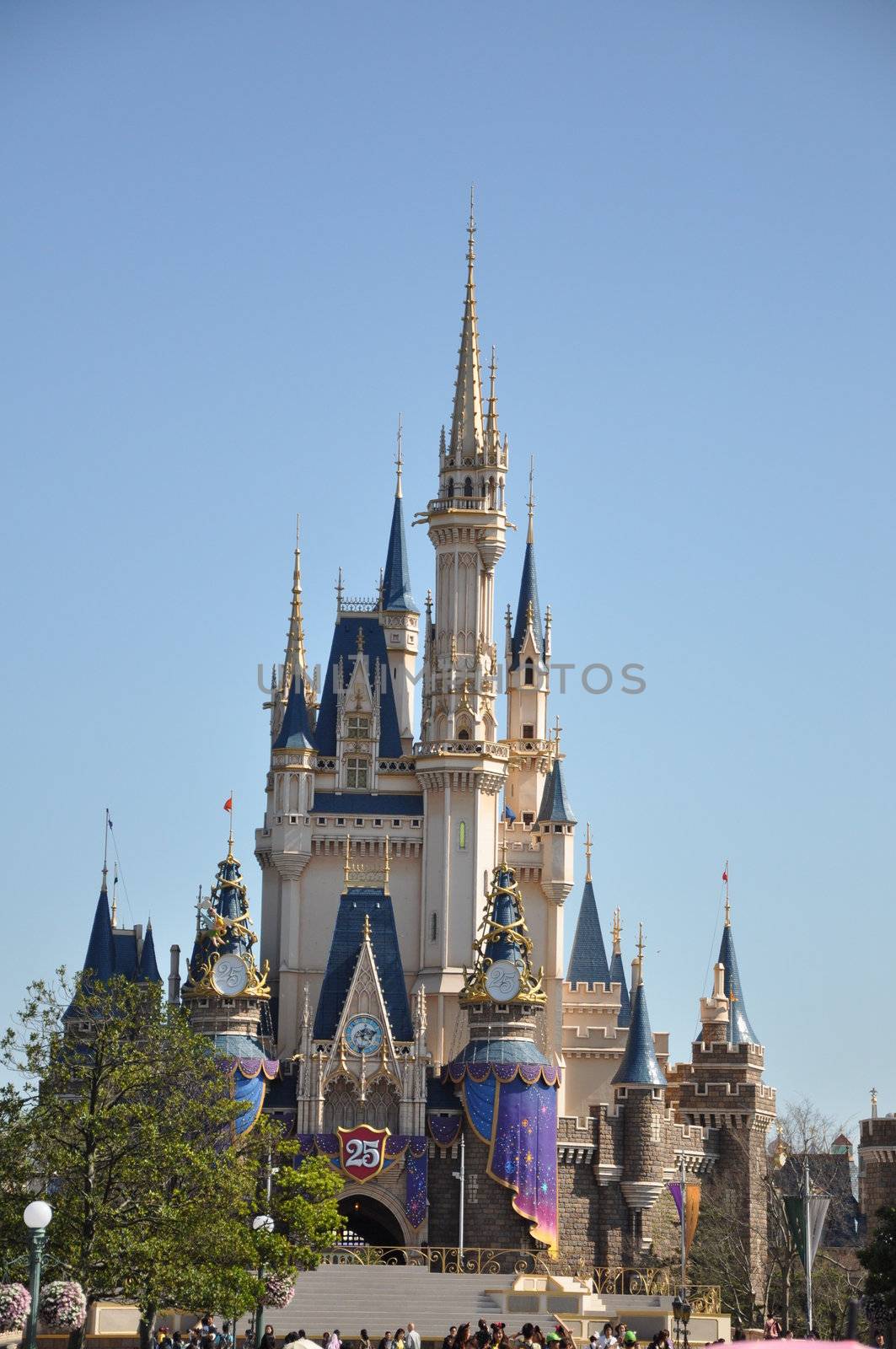 Tokyo Disney Land