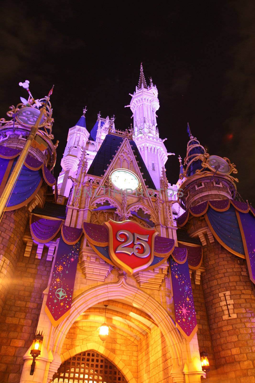 Tokyo Disney Land