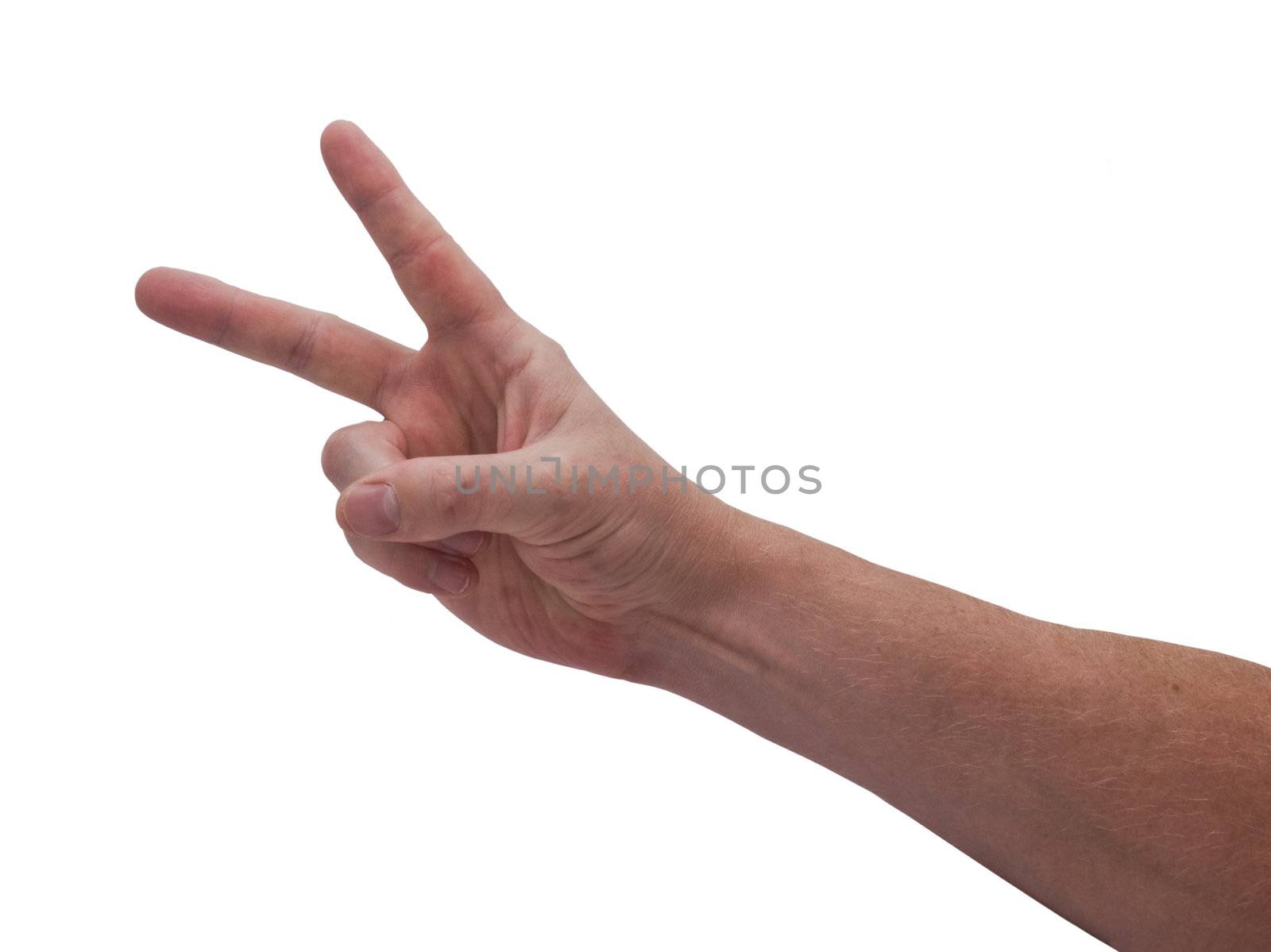 an isolated over white caucasian man's hand displaying the Victory hand gesture.