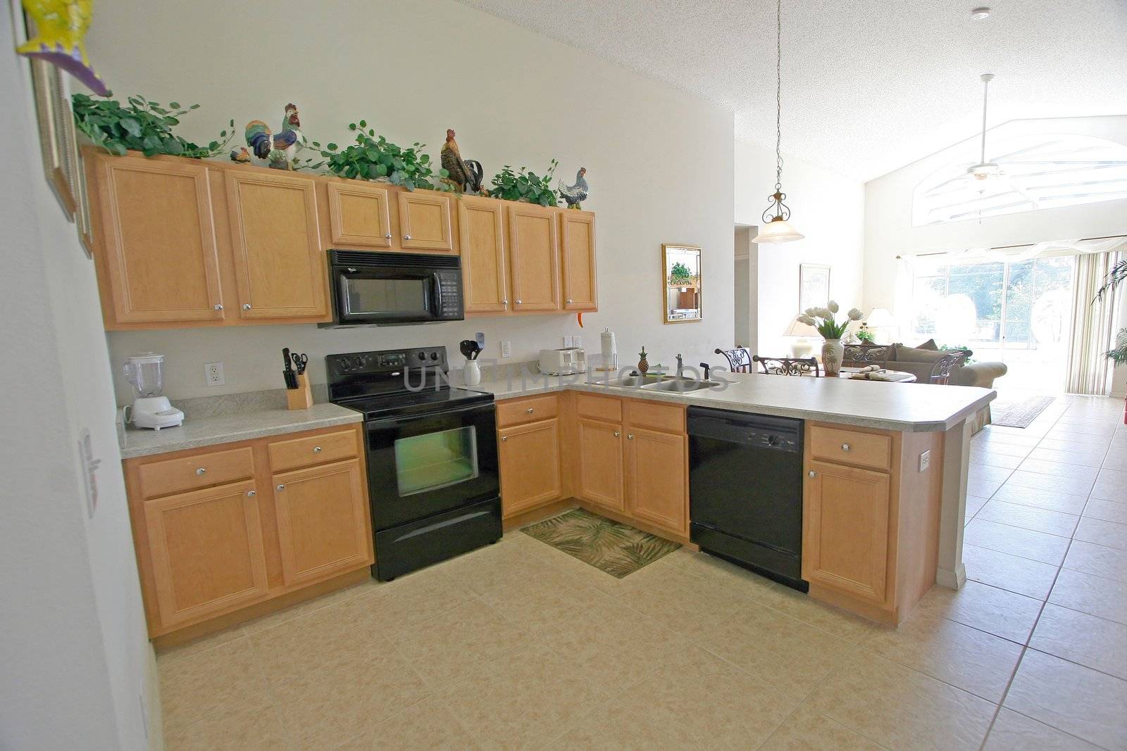 An Interior Shot of a Kitchen in a House