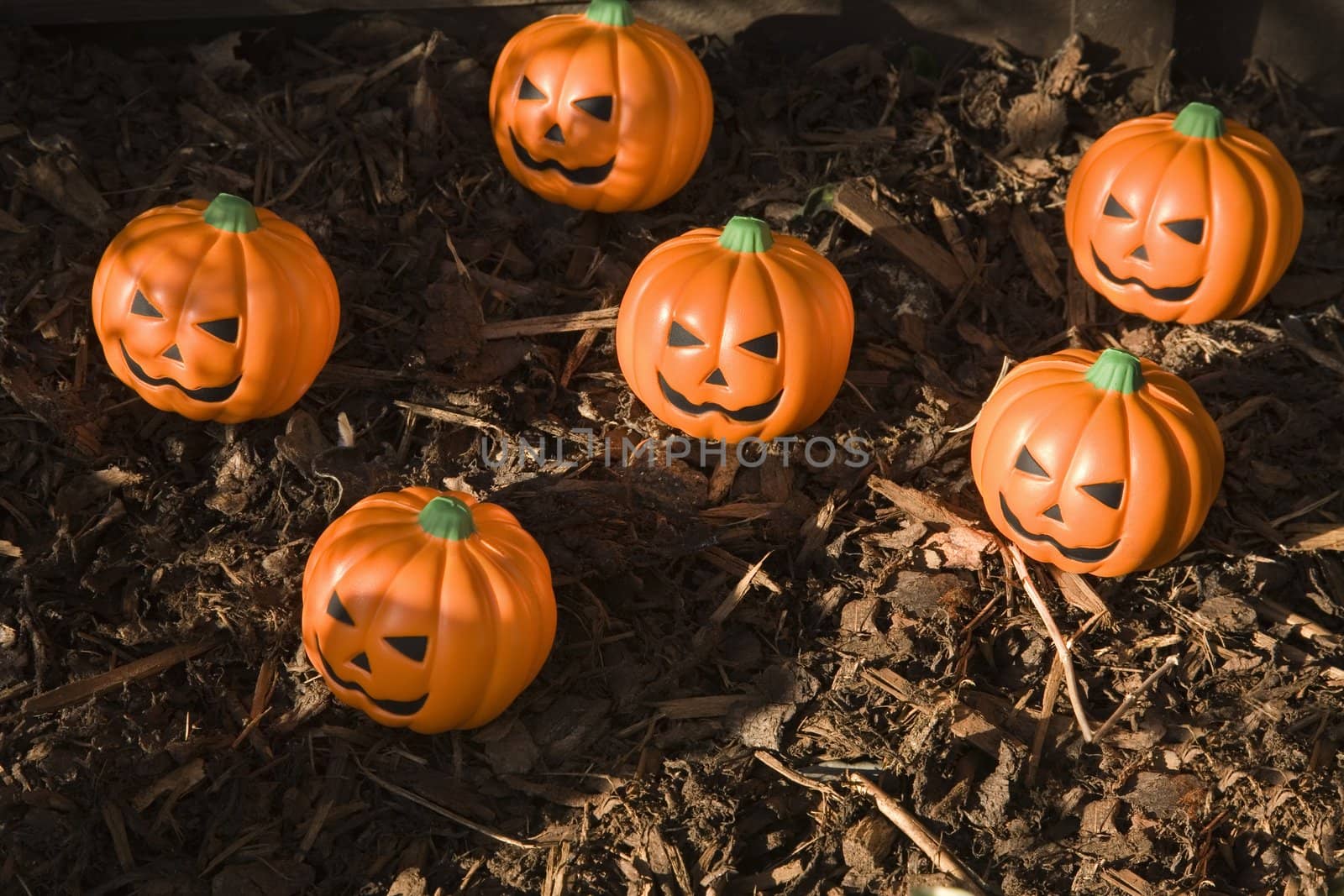 Halloween Pumpkin Shaped stress ball  outdoors on garden Bark chippings