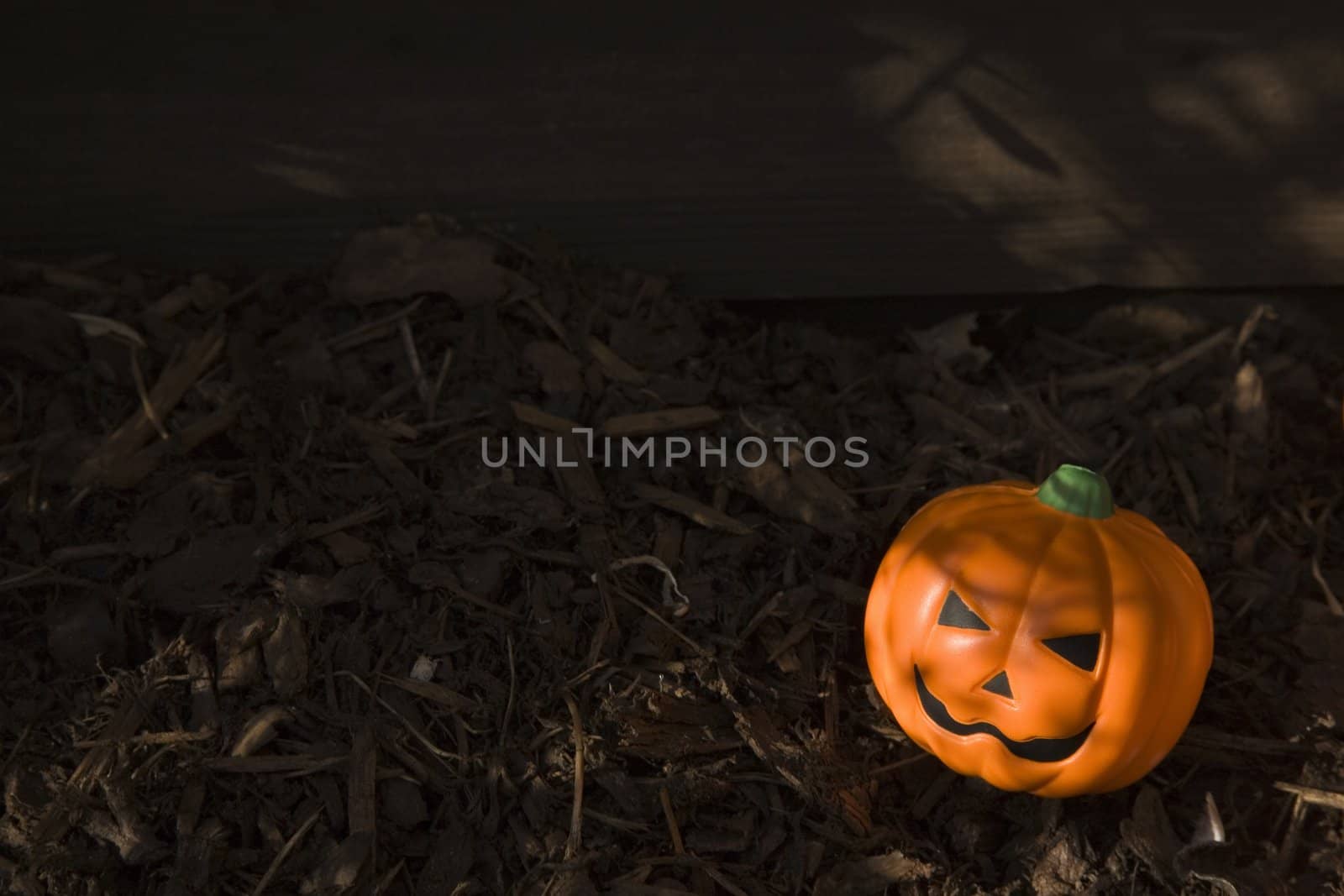 Halloween Pumpkin Shaped stress ball  outdoors on garden Bark chippings