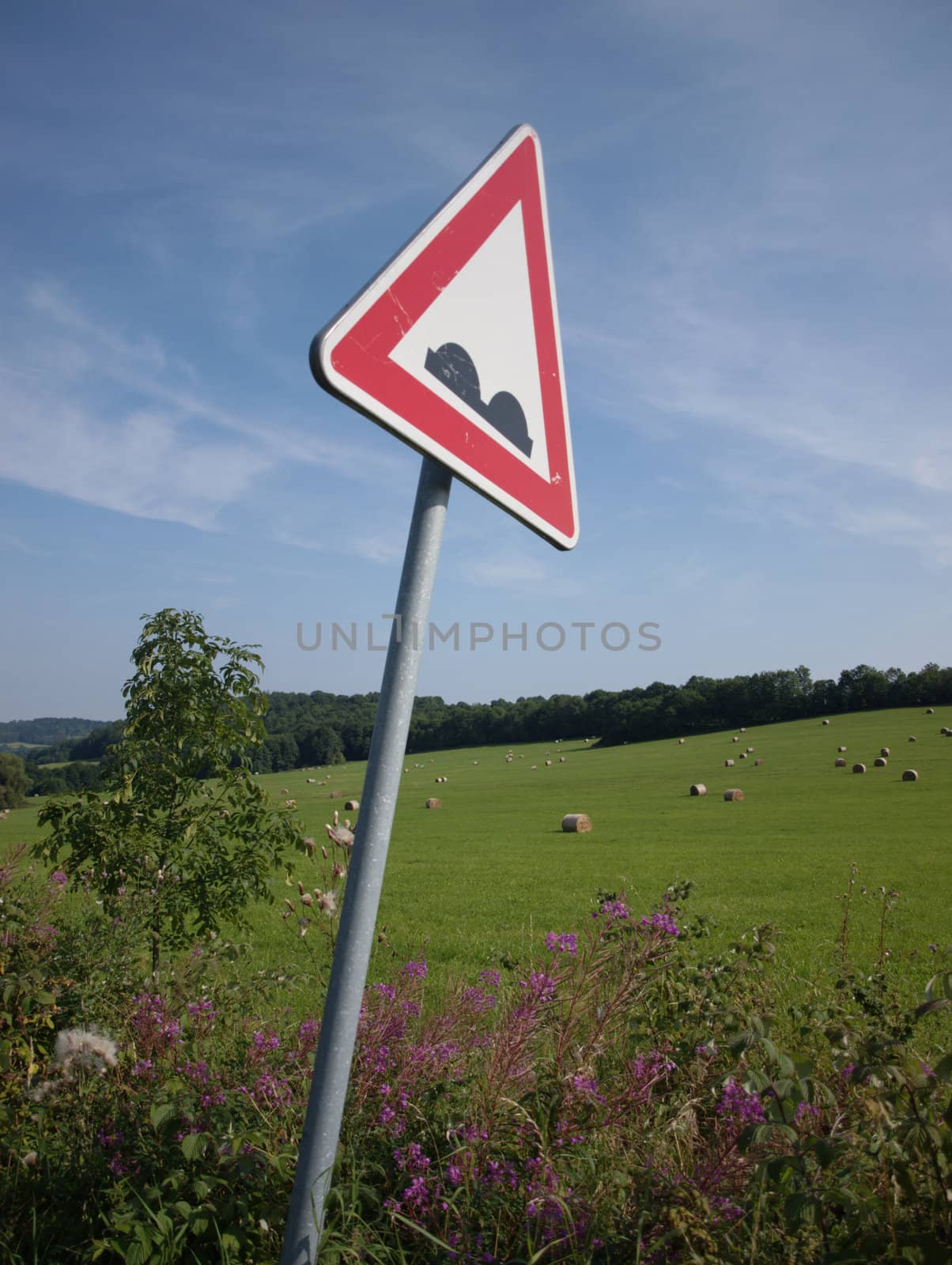 the traffic sign against summer landscape
