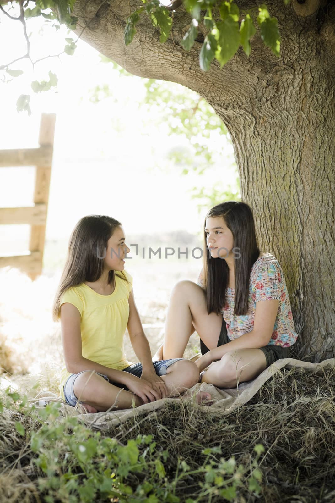 Two Girls Sitting on Blanket Under a Tree