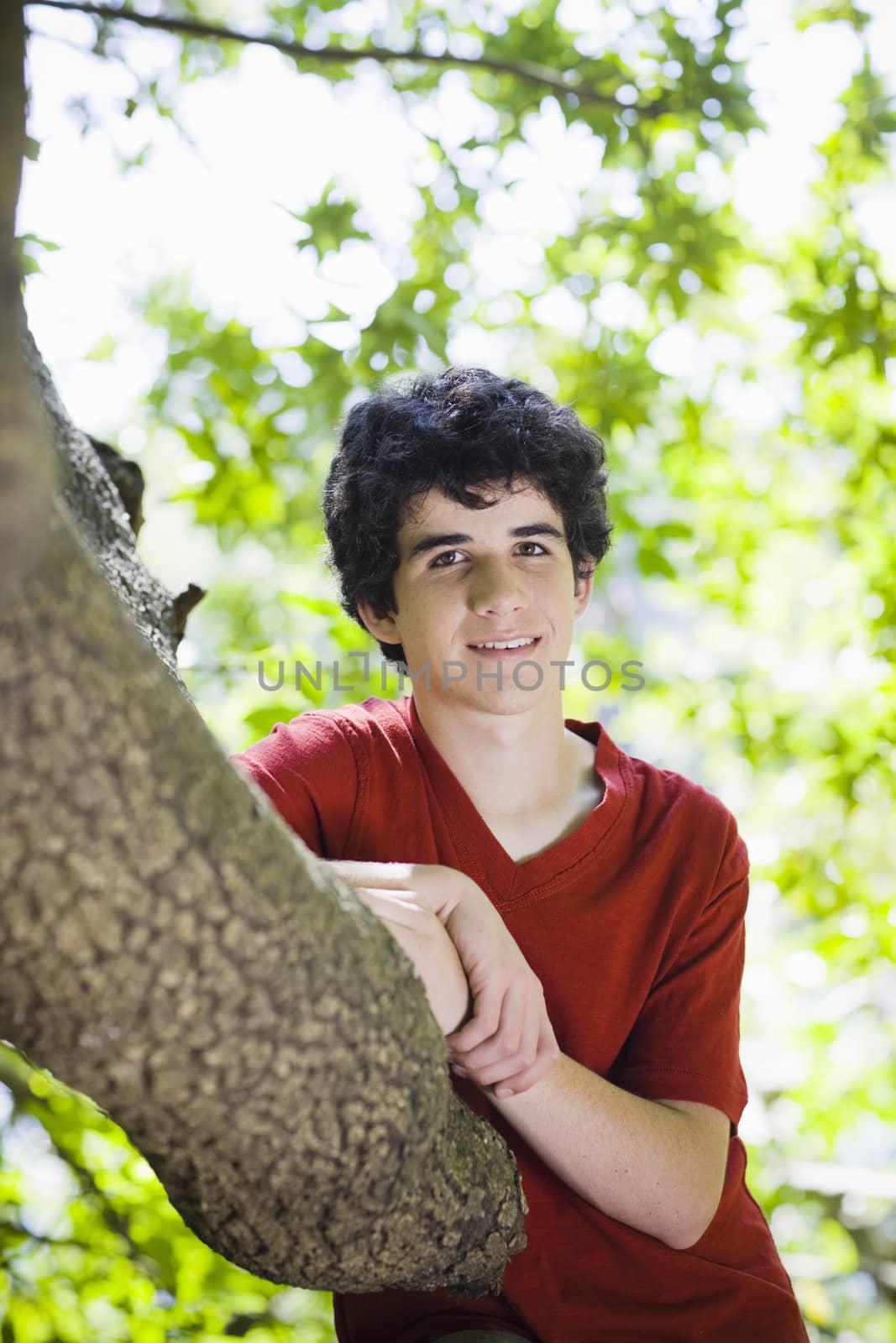 Teen Boy in Red Shirt Standing in Woods