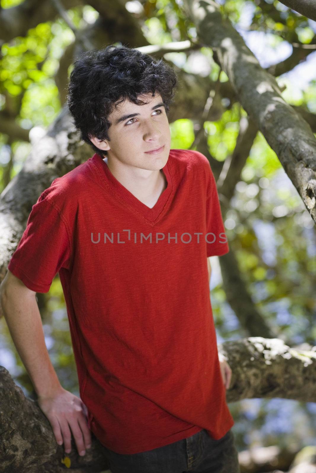 Portrait of Teen Boy in Red Shirt Standing in Woods