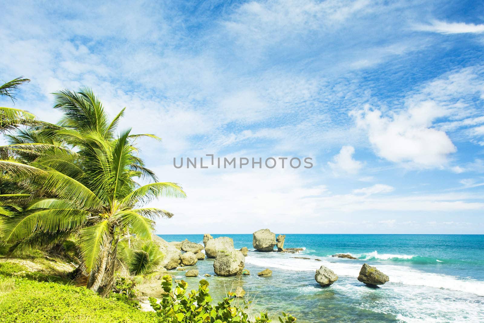 Bathsheba, East coast of Barbados, Caribbean