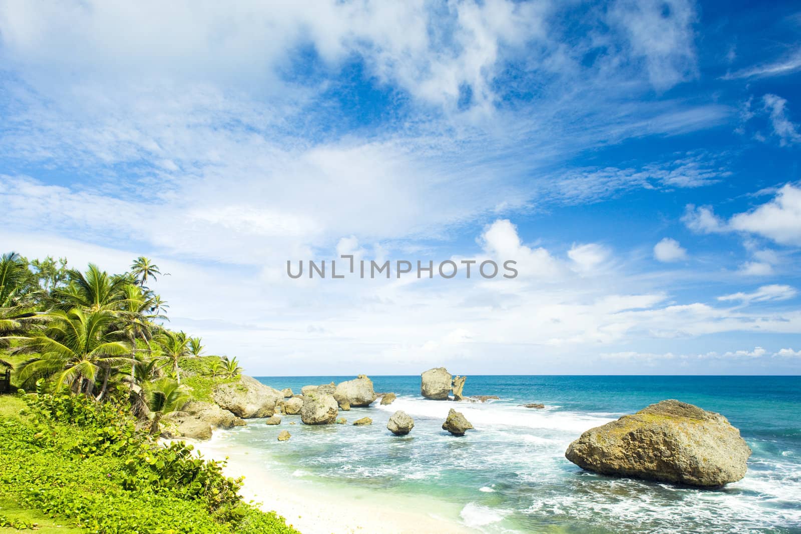 Bathsheba, East coast of Barbados, Caribbean